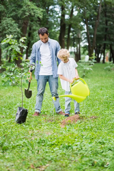 Son Med Vattning Kan Och Far Med Showel Plantering Fröplanta — Stockfoto