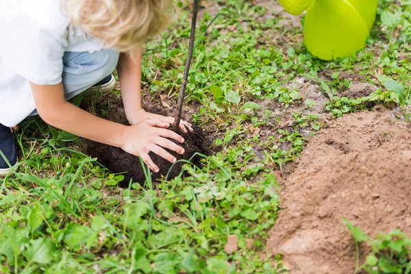 Vista Cortada Menino Plantando Mudas Árvore Parque — Fotografia de Stock