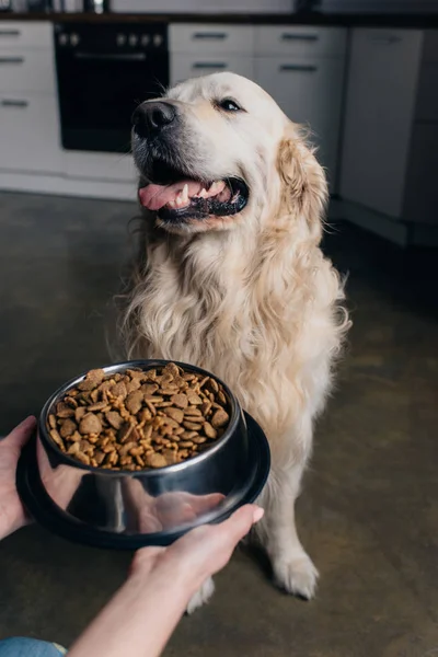 かわいいレトリバー犬の近くにペットフードとボウルを保持している女性のトリミングビュー — ストック写真