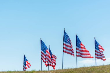 mavi gökyüzüne karşı yeşil çim üzerinde ulusal amerikan bayrakları 