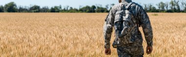 panoramic shot of military man with backpack standing in field with wheat  clipart
