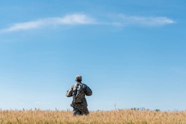 back view of soldier in military uniform with backpack standing in field with golden wheat  clipart