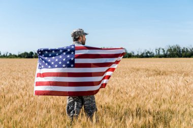 soldier in cap and uniform holding american flag in golden field  clipart