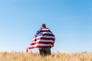 arka görünüm asker şapka ve üniforma alanında Amerikan bayrağı tutan 