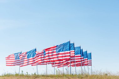 yaz aylarında mavi gökyüzüne karşı yeşil çim üzerinde Amerikan bayrakları 