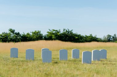 tombstones on green grass and blue sky in graveyard  clipart
