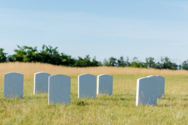 headstones on green grass and blue sky in graveyard  clipart