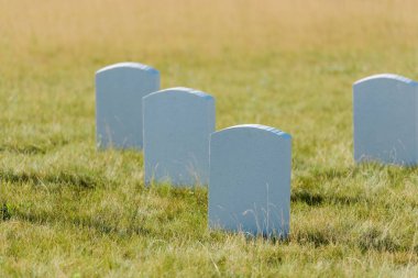 mezarlıkta yeşil çim ve mavi gökyüzü mezar taşlarının seçici odak 