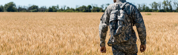 panoramic shot of military man with backpack standing in field with wheat 