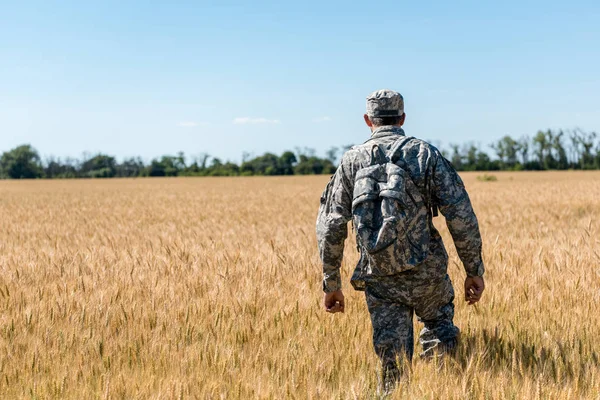 Rückansicht Eines Soldaten Mit Rucksack Der Auf Einem Feld Mit — Stockfoto