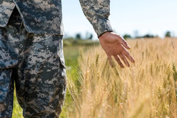 Abgeschnittene Ansicht Eines Mannes Militäruniform Der Weizen Goldenen Feld Berührt — Stockfoto