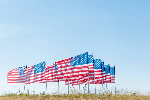 Amerikanische Fahnen Auf Grünem Gras Gegen Blauen Himmel Sommer — Stockfoto