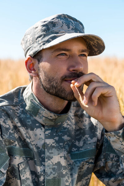 handsome soldier in military uniform and cap holding wheat near lips  
