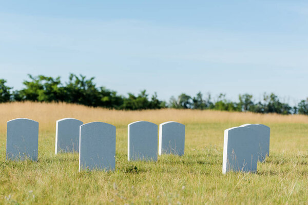 headstones on green grass and blue sky in graveyard 
