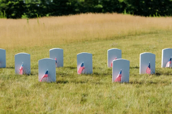 military tombstones on green grass near american flags in graveyard 