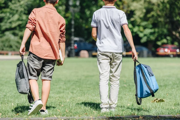 公園の芝生の上を歩くバックパックを持つ2人の男子生徒のバックビュー — ストック写真