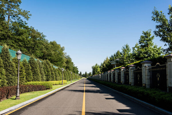 shadows on road near green trees with leaves in summer 