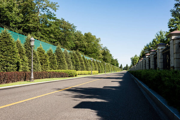 shadows on road near green trees with leaves and blue sky in summer 