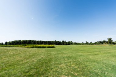 blue sky in green park with trees in summertime  clipart