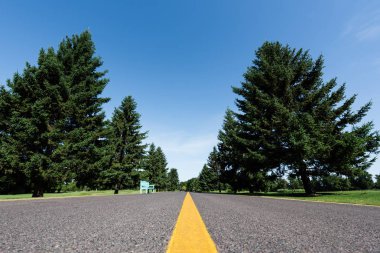 low angle view of road with yellow line near green trees with leaves in summer  clipart
