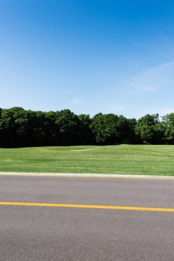 yaz aylarında yeşil park yakınındaki yolda sarı çizgi seçici odak 