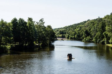 yaz aylarında göl ve yeşil ağaçlar ile park 