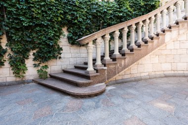 duvarda yeşil yaprakların yanında beyaz beton merdivenler 