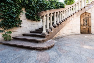 duvarda yeşil ve taze yaprakların yanında beyaz beton merdivenler 