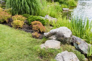 stones on green grass near pond and plants in park  clipart