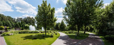 panoramic shot of green trees on grass near fountains clipart