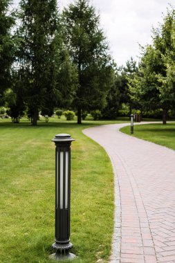 selective focus of outdoor lamp near walkway and trees on green grass  clipart