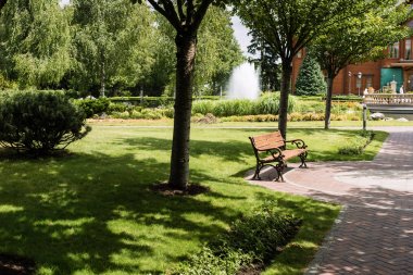 ahşap tezgah ve ağaçlar yakınında çim ve geçit üzerinde gölgeler 