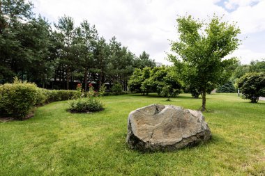 huge stone on green and fresh grass near trees in park  clipart