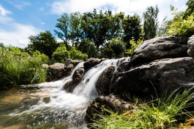 steam with water flowing on wet stones near green trees in park  clipart