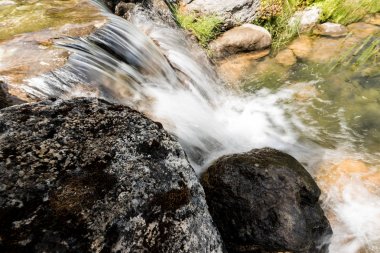 steam with water flowing on rocks near grass in park  clipart