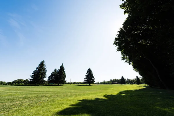 Ombres Sur Herbe Verte Près Des Arbres Contre Ciel Dans — Photo