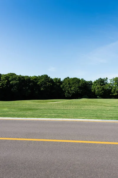 Enfoque Selectivo Línea Amarilla Carretera Cerca Del Parque Verde Verano — Foto de Stock