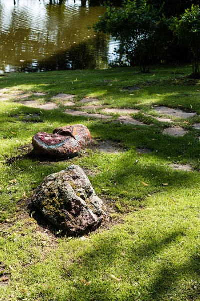 选择性地将石头聚焦在公园湖边的绿草上 — 图库照片
