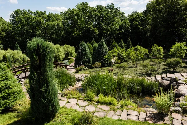 green bushes near stones and trees in summertime 