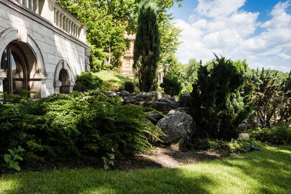 Green Bushes Trees Building Blue Sky — Stock Photo, Image