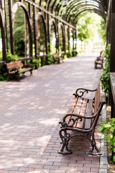 緑の葉と歩道の近くの木製のベンチの選択的な焦点 — ストック写真