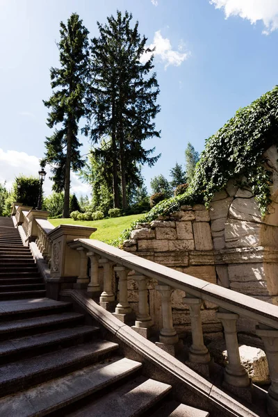 Schaduwen Witte Betonnen Trappen Buurt Van Planten Met Groene Bladeren — Stockfoto