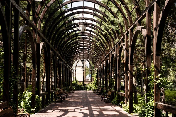 Folhas Verdes Árvores Plantas Perto Arco Metálico Passarela — Fotografia de Stock