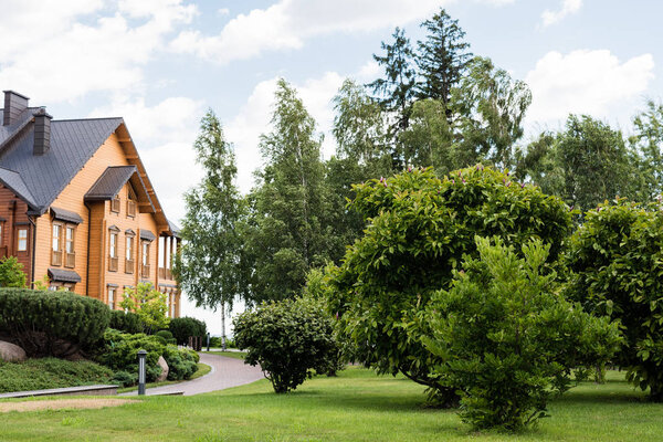 green bushes, trees and pines near house and walkway in summertime 