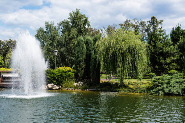 fountain in pond near green trees and plants on grass 