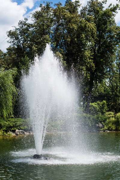 water splash and drops near fountain in pond near trees 