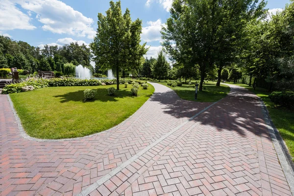 Sombras Camino Cerca Los Árboles Con Hojas Verdes Parque — Foto de Stock