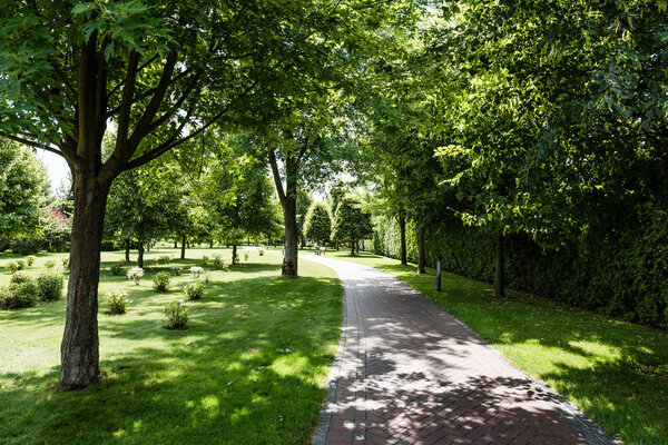 shadows on green grass with bushes and trees near path in park 
