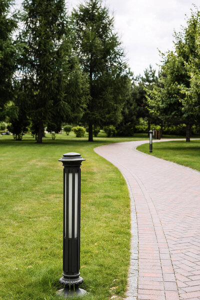 selective focus of outdoor lamp near walkway and trees on green grass 