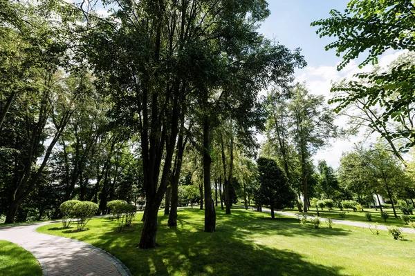 path near trees on fresh grass against sky with clouds 